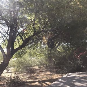 Meet your Posher, Rogelio